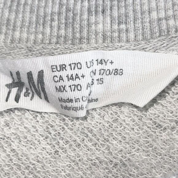 HM Sweatshirt Big Boys Size 14 Embroidered Patches Long Sleeve Crew Neck Gray - Picture 9 of 9